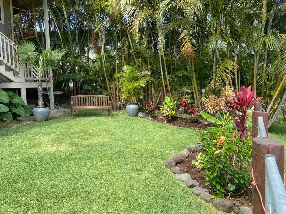 Private Ohana On The Lush Hamakua Coast With Ac Honokaa Екстериор снимка
