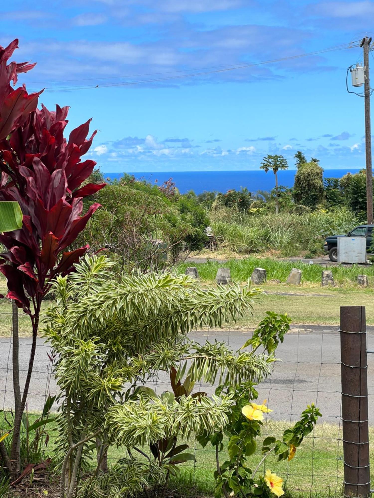 Private Ohana On The Lush Hamakua Coast With Ac Honokaa Екстериор снимка