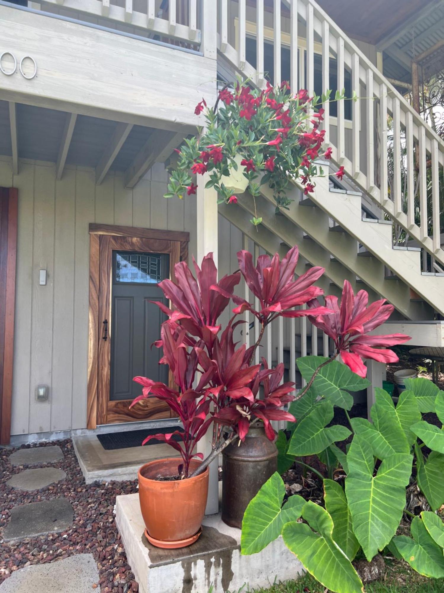 Private Ohana On The Lush Hamakua Coast With Ac Honokaa Екстериор снимка