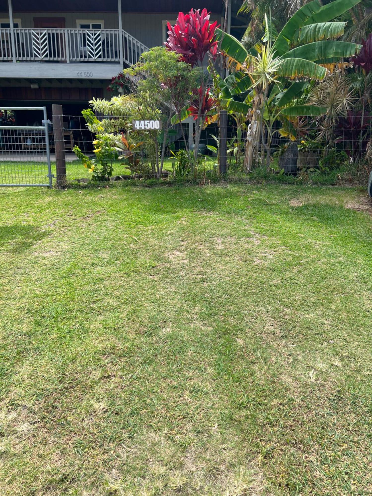 Private Ohana On The Lush Hamakua Coast With Ac Honokaa Екстериор снимка