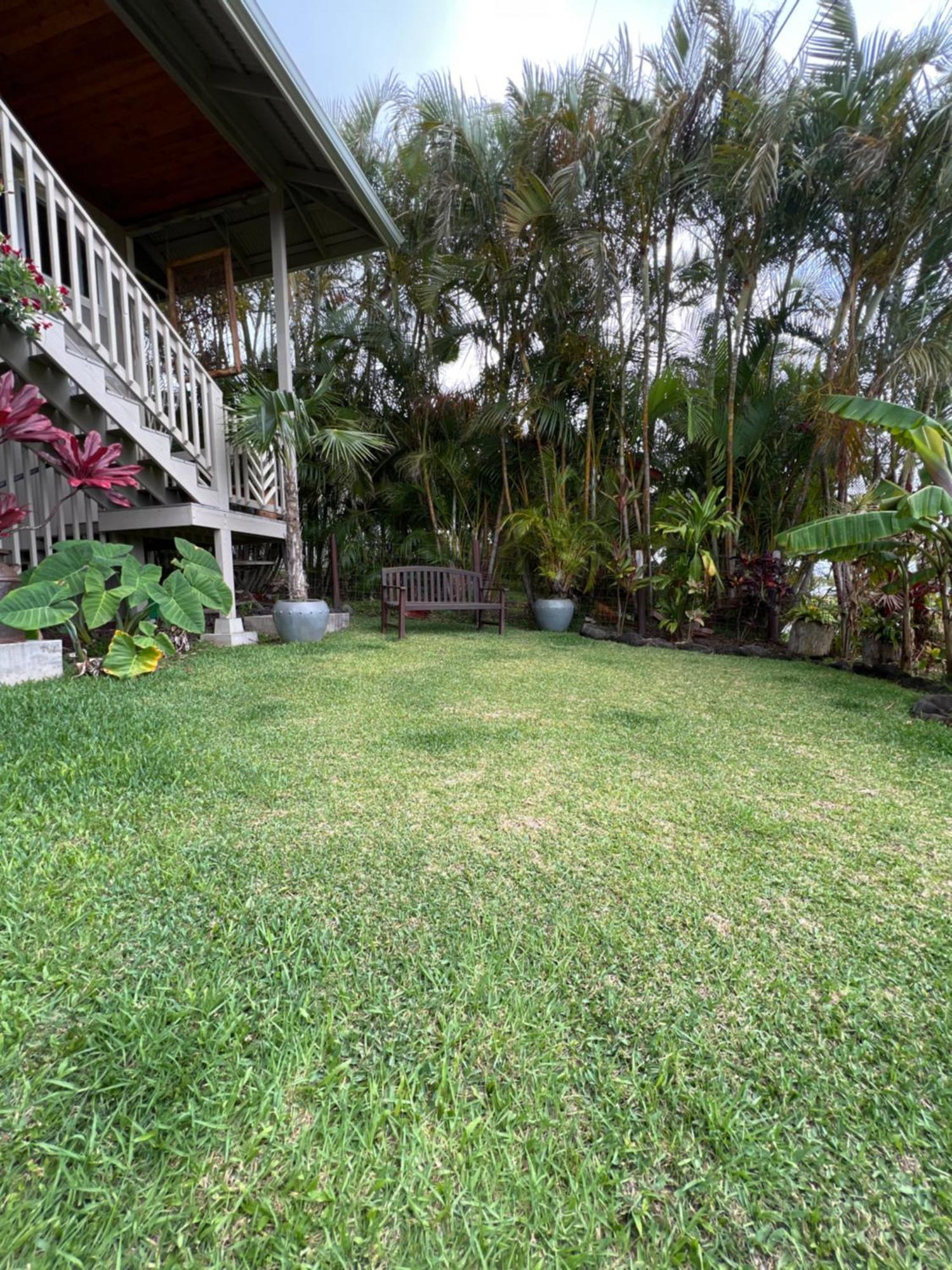 Private Ohana On The Lush Hamakua Coast With Ac Honokaa Екстериор снимка